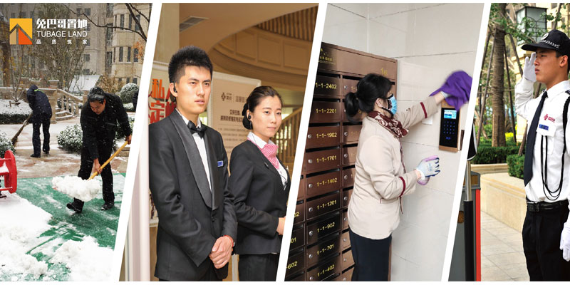 冬日里，兔巴哥的那些暖心行為